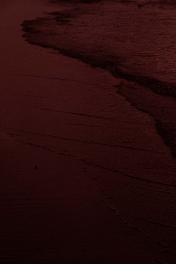 Tide in Red